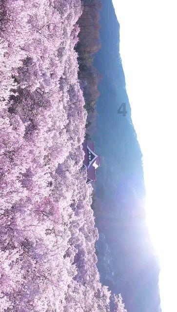 宝贝七巧板