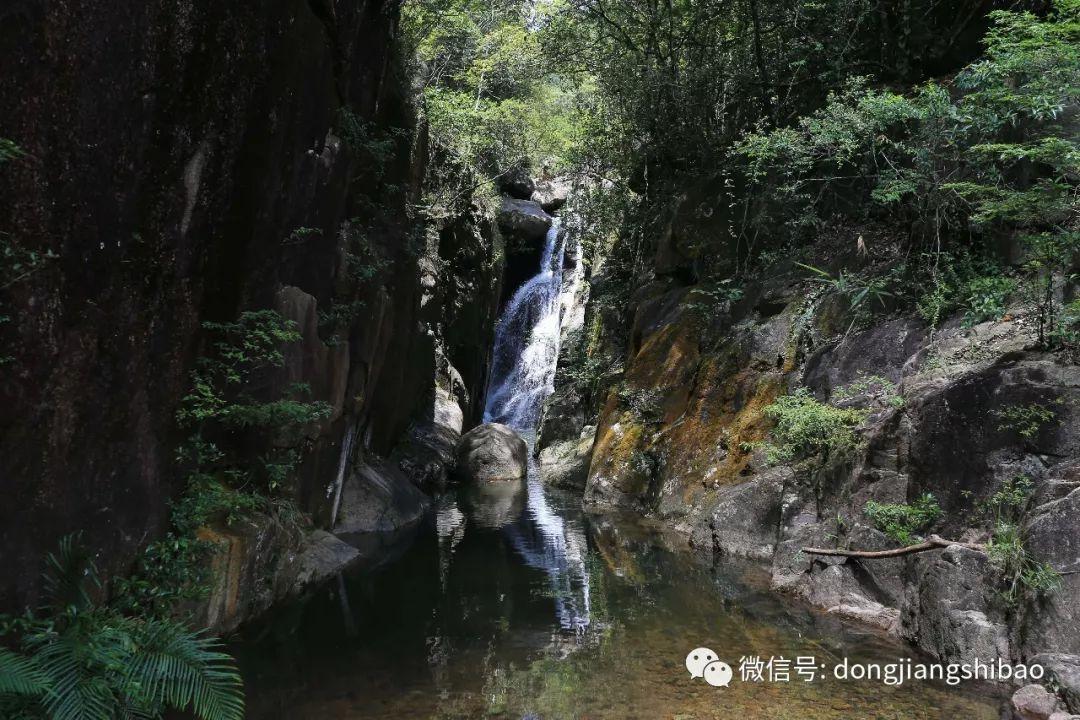 小猫钓鱼游戏龙王版有船