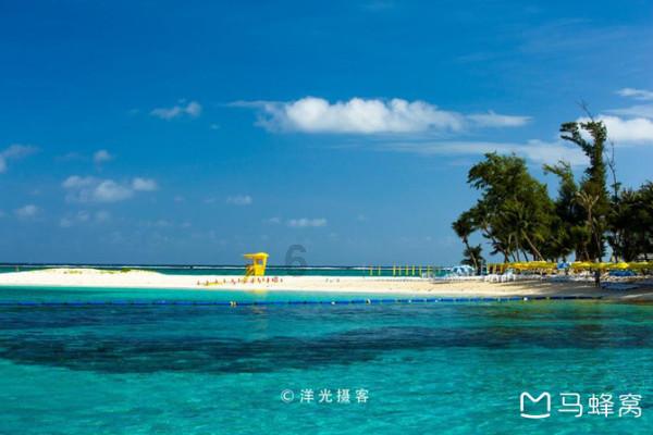 全村的希望