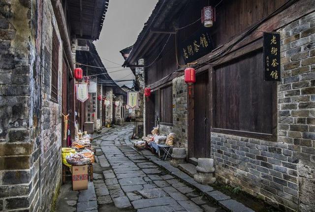 拯救精灵的土地10